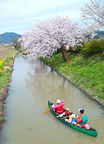15_original_20120417154534.jpg