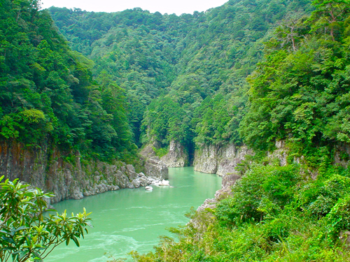 DSC00040.jpg