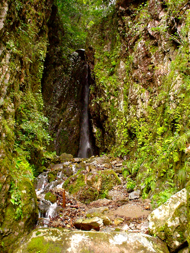 DSC00049.jpg