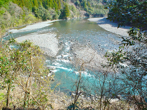 DSC01009.jpg