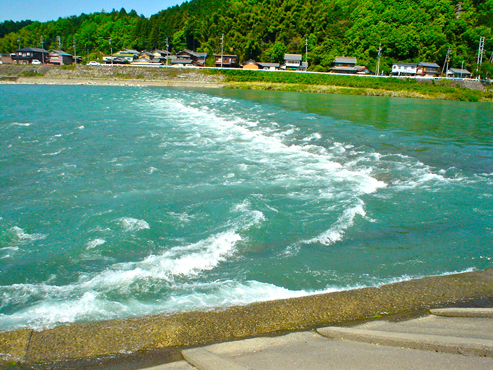 DSC01175.jpg