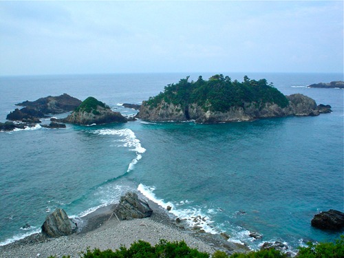 DSC01377.jpg