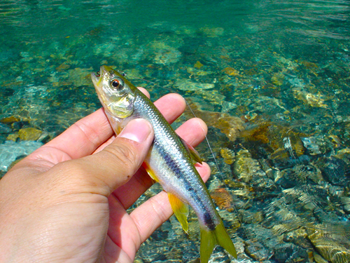 DSC01425.jpg