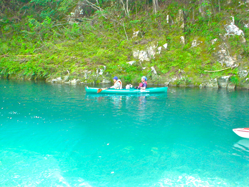 DSC01433.jpg