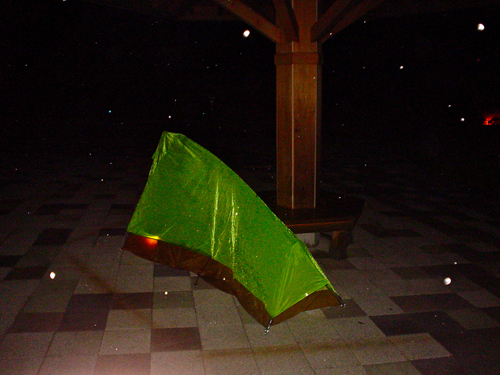 DSC01435.jpg