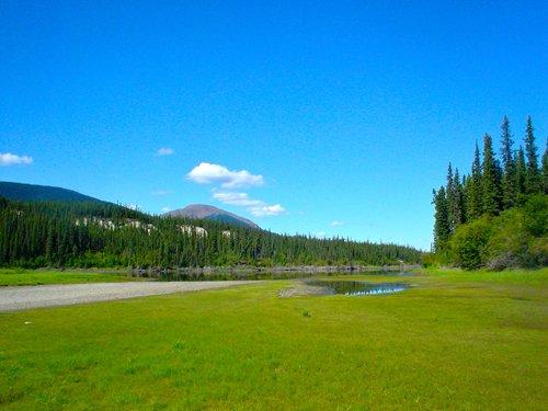 DSC01767.jpg