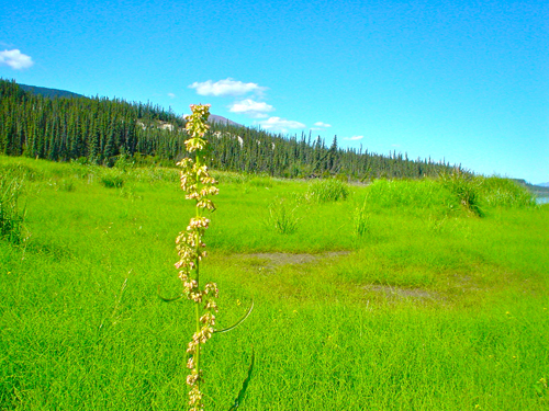 DSC01770.jpg