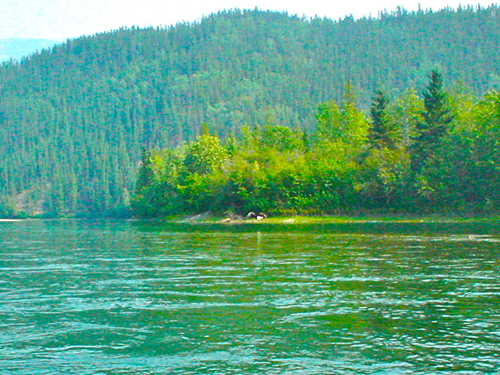 DSC01963.jpg