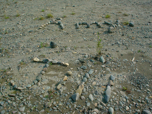 DSC01966.jpg