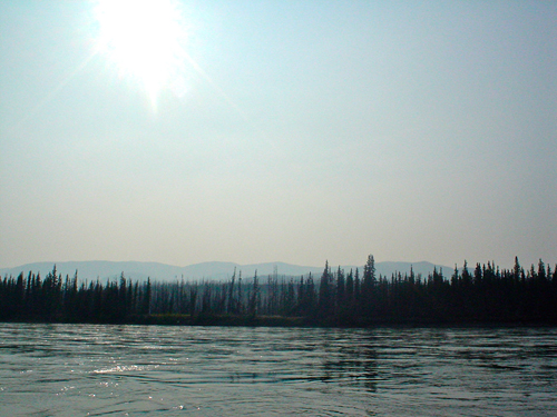 DSC01972.jpg