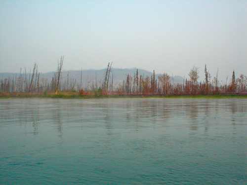 DSC01998.jpg