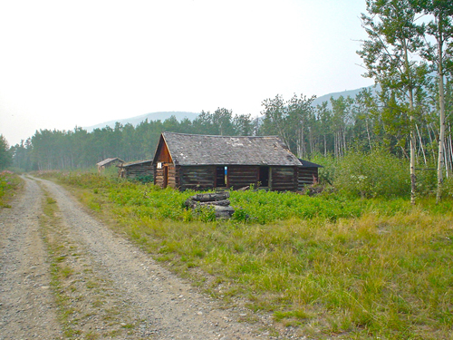 DSC02031.jpg