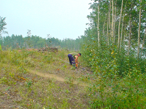DSC02046.jpg