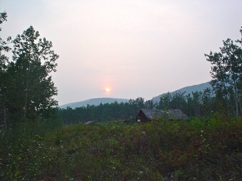DSC02054.jpg