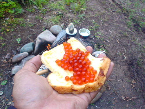 DSC02055.jpg