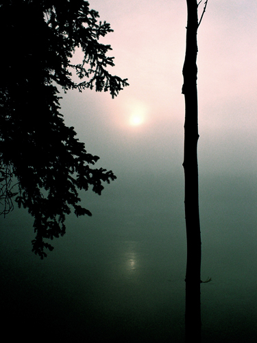DSC02146.jpg