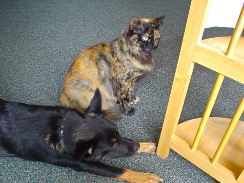 DSC02155.jpg