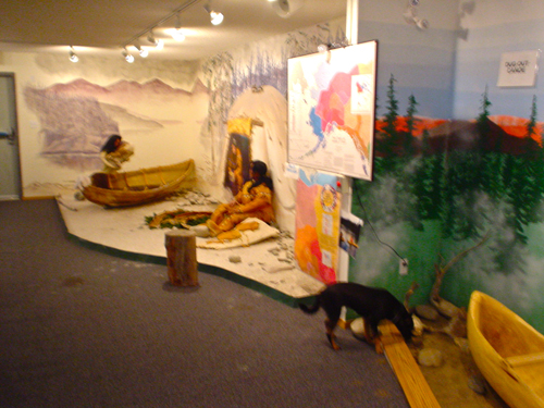 DSC02160.jpg