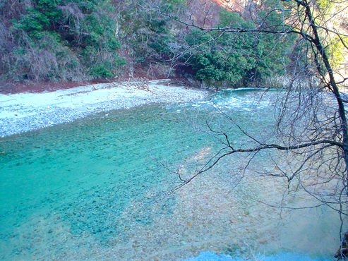 DSC02614.jpg