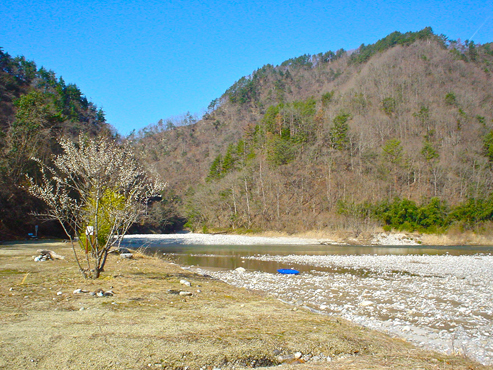 DSC02632.jpg