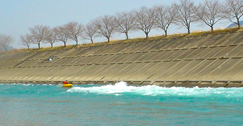 DSC02662.jpg