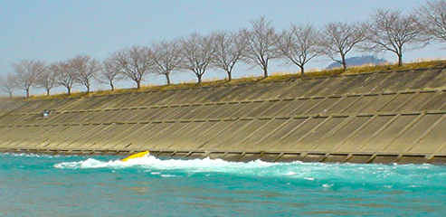 DSC02663.jpg