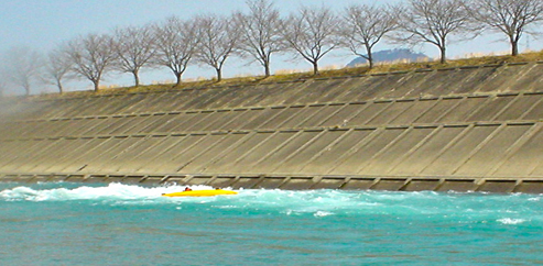 DSC02664.jpg