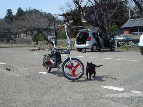 DSC02672.jpg