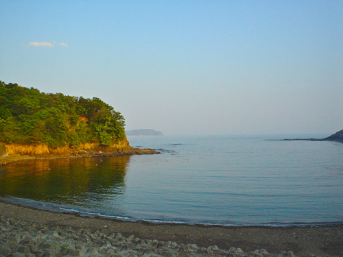 DSC02917.jpg