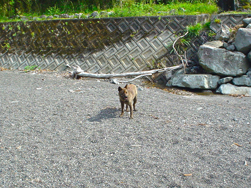 DSC02933.jpg