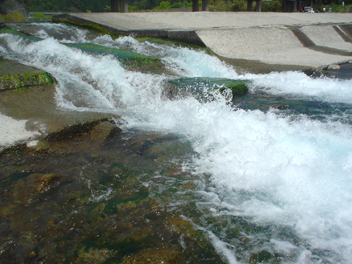 DSC02974.jpg