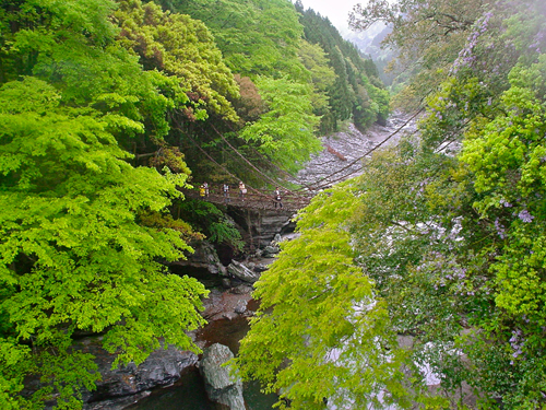 DSC03037.jpg