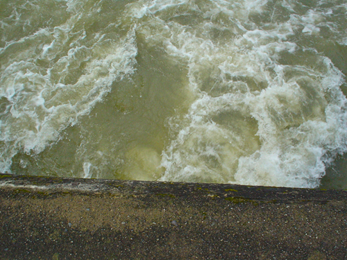 DSC03061.jpg