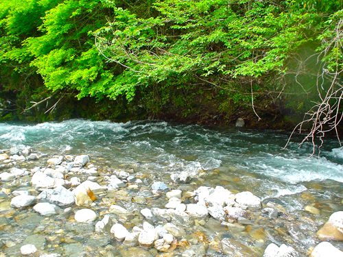 DSC03073.jpg