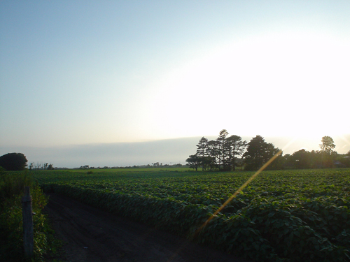 DSC03787.jpg