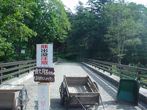 DSC03834.jpg