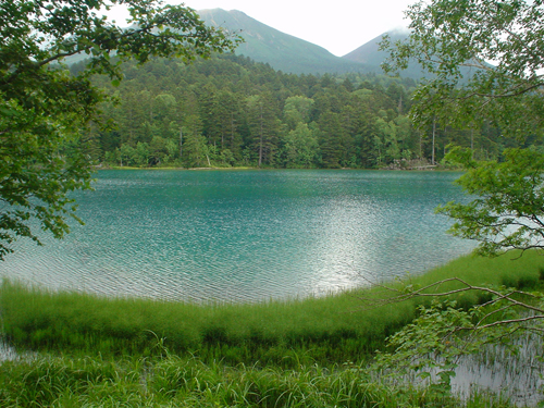 DSC03881.jpg