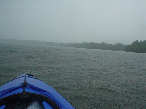 DSC03994.jpg