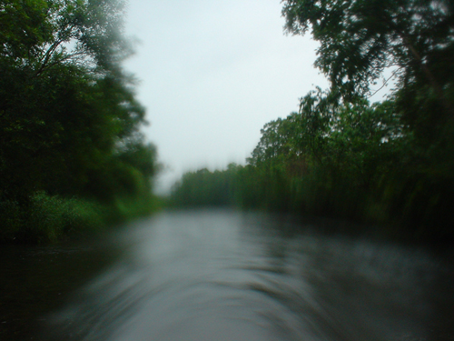DSC03996.jpg