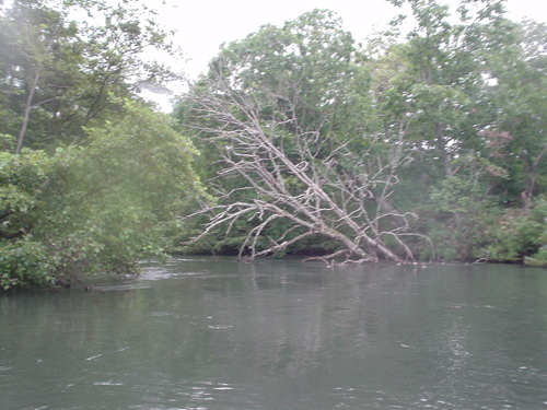 DSC04033.jpg