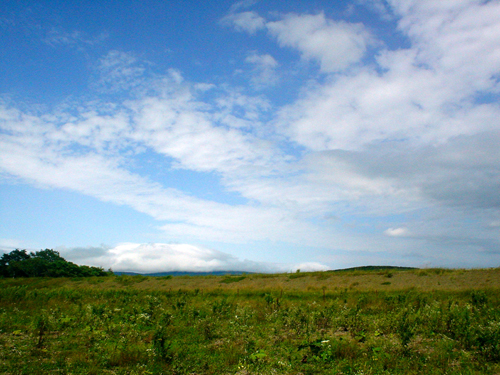 DSC04066.jpg