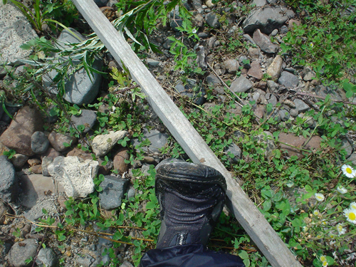 DSC04069.jpg