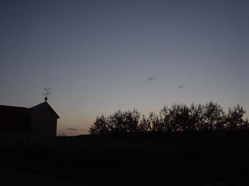 DSC04088.jpg
