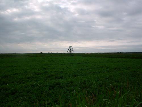 DSC04176.jpg