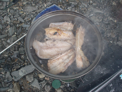 DSC04209_1.jpg