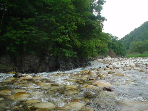 DSC04210_1.jpg