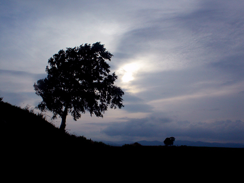 DSC04377.jpg