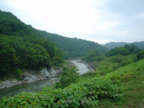 DSC04411.jpg