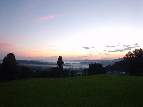 DSC04490.jpg