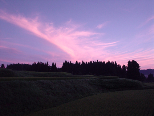 DSC04495.jpg